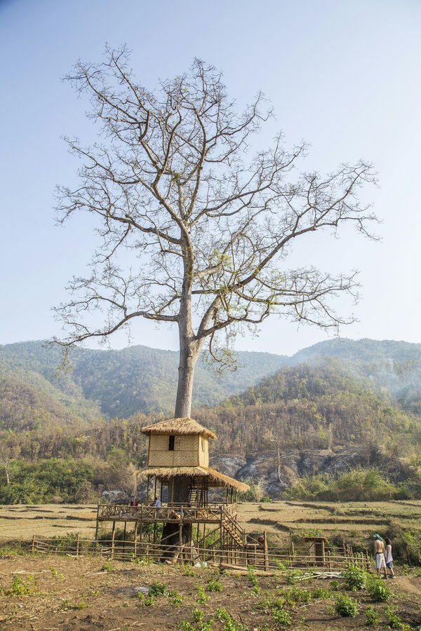 What's the Best Way to Incorporate a Custom-Built Treehouse into Your Backyard?