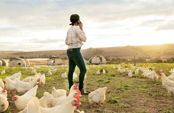 What Are the Prospects for 5G Technology in Rural UK Connectivity?